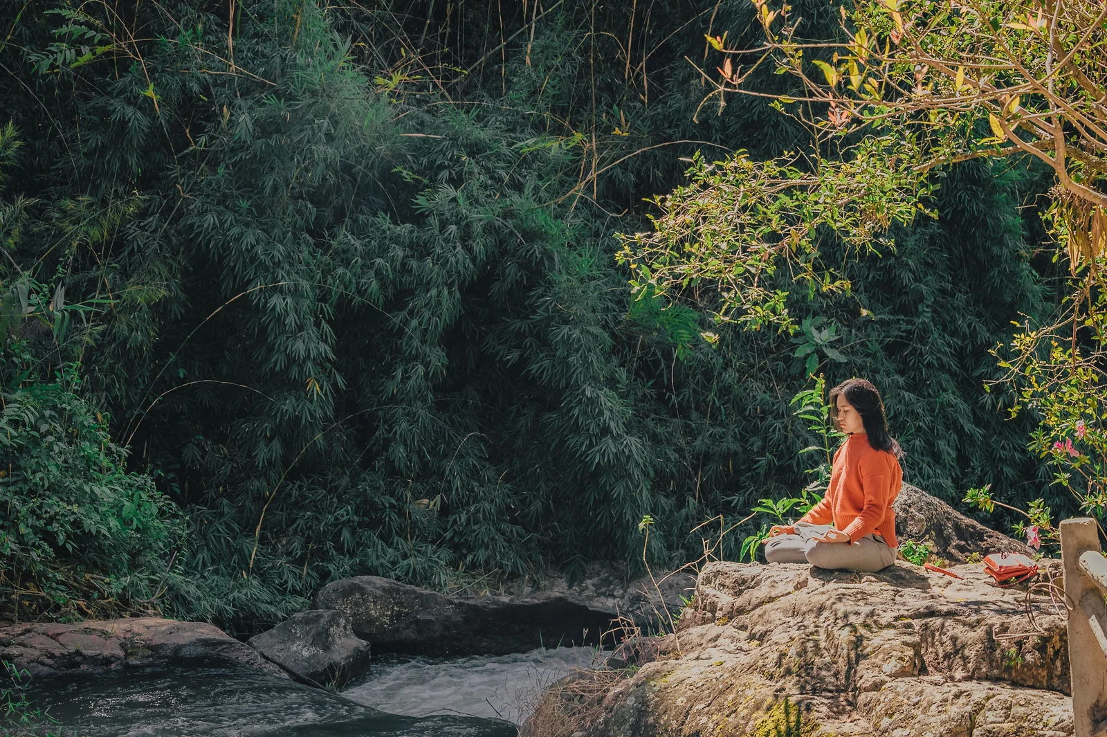Psychotherapists & Counselors